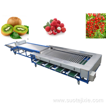 Fruit Sorting Machine Cherry Tomato Grading Machine